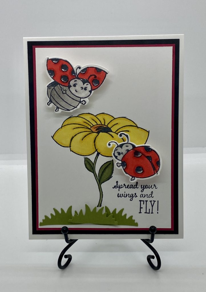 wobbling ladybugs